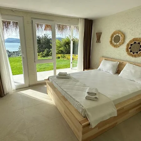 The Roof Ada אדאלר