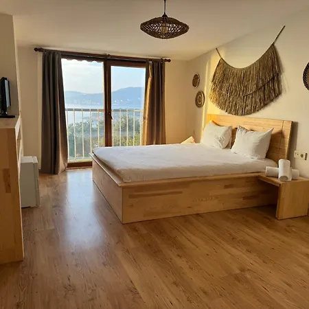 The Roof Ada אדאלר