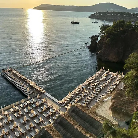 The Roof Ada אדאלר