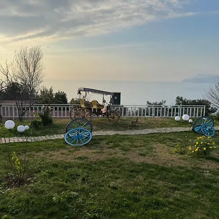 The Roof Ada מלון